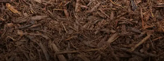 Close-up texture of dark brown shredded aged native mulch fading to shadow at the bottom