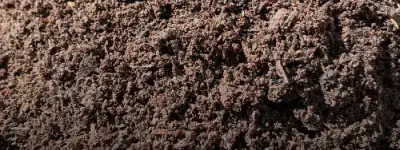 Close-up texture of dark brown fine screened compost with tiny wood fibers