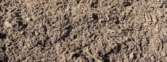 Sunlit close-up of grey-brown screened sandy loam topsoil with small roots and fibers